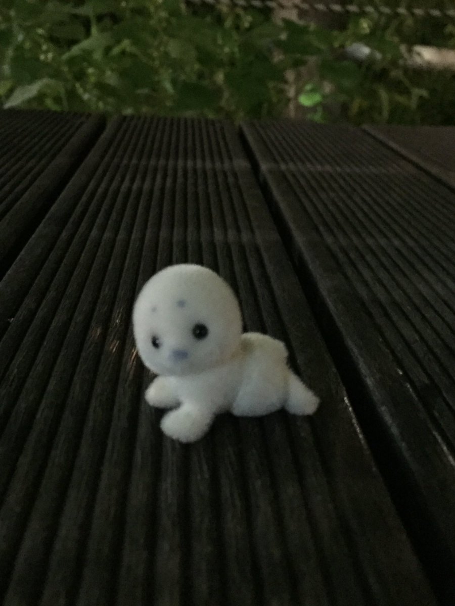 hiiu66's tweet photo. 개구리인척하는 물개 발견(｀・∀・´) https://t.co/iPYnEkcCH7