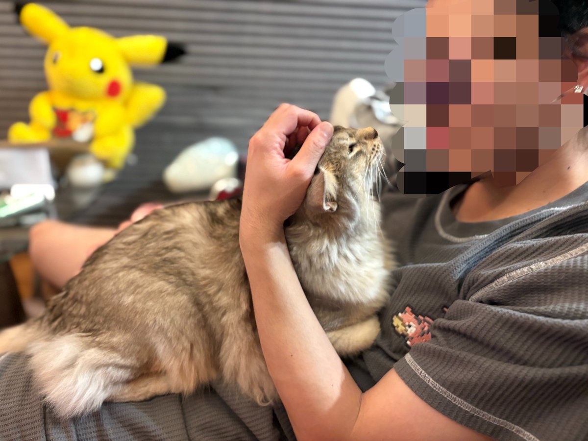 mfmf1023's tweet photo. なんて尊いんだ🫣メルともこういう写真撮れたらな🥹 https://t.co/3cZrycexOq