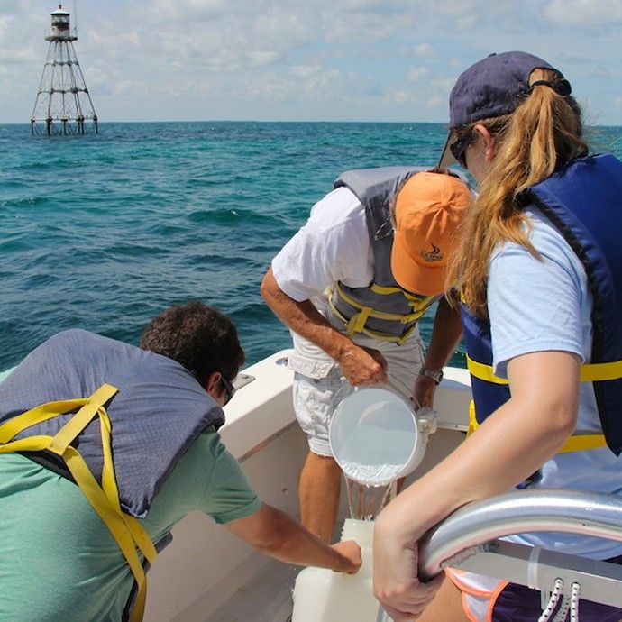 capjuliomonroy's tweet photo. El Magdalena ya tiene el terreno fértil para esto: puertos en crecimiento, biodiversidad costera única, universidades investigando ciencias del mar, y posición geoestratégica sobre el Caribe.
Ya hay señales: la misión a Cádiz en el proyecto "Perla del Caribe" y el evento Innovazul liderado por @Unimagdalena, entre otras.