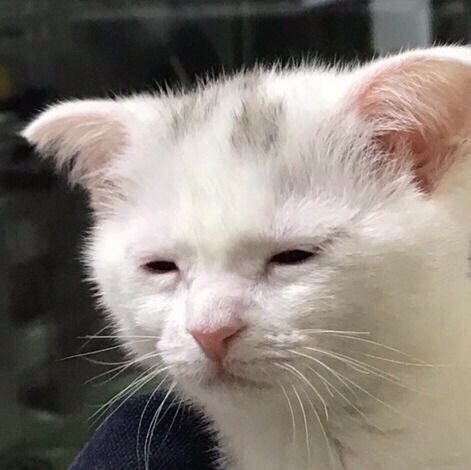 Animal0I0's tweet photo. @WildMediaOnly excuse me, she smoked a bit too much marijuana last night. https://t.co/hsI4rnF5nX