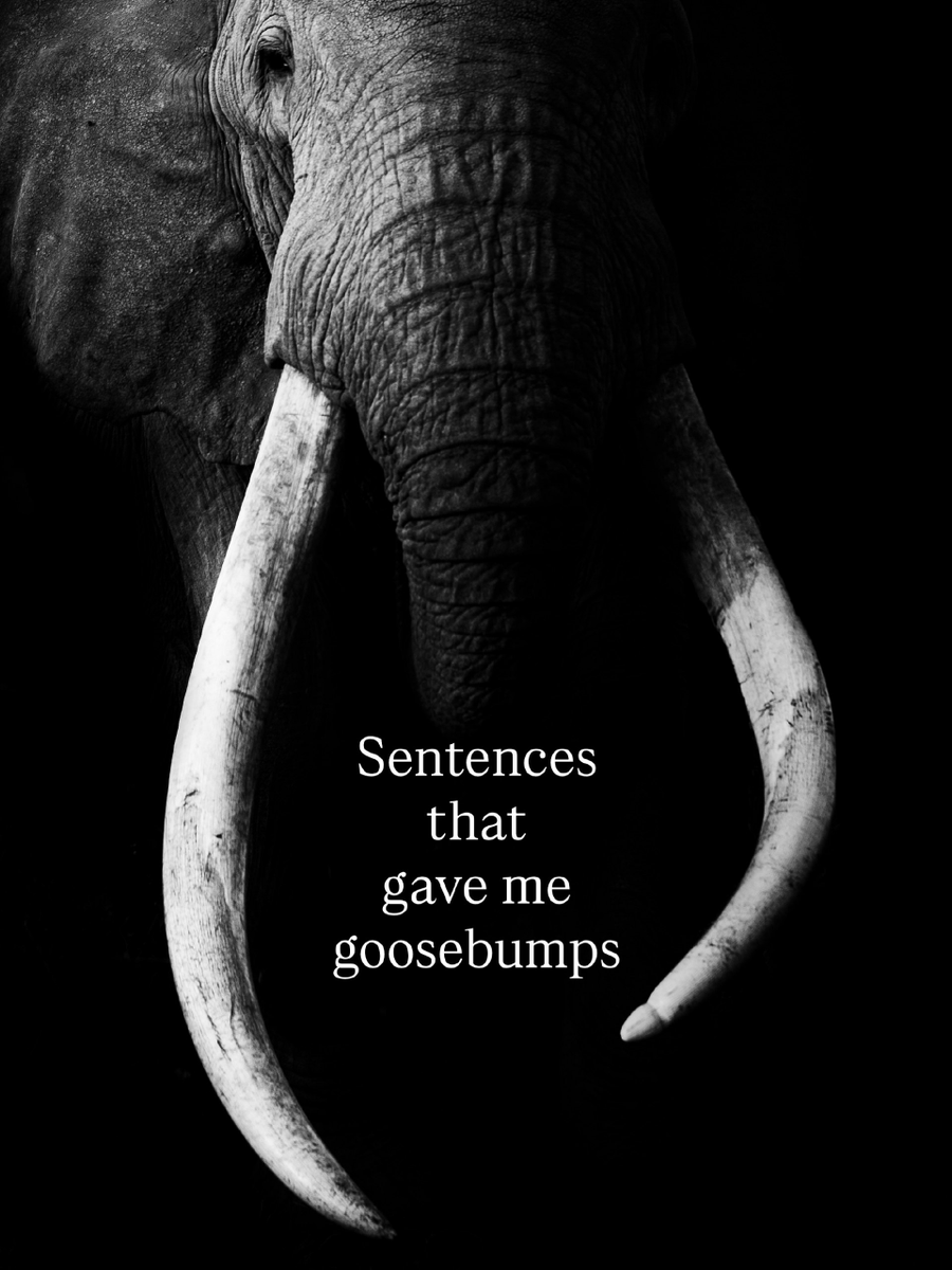 HarmonyHaven_1's tweet photo. Sentences That will gave you Goosebumps https://t.co/nXlgoZRj28