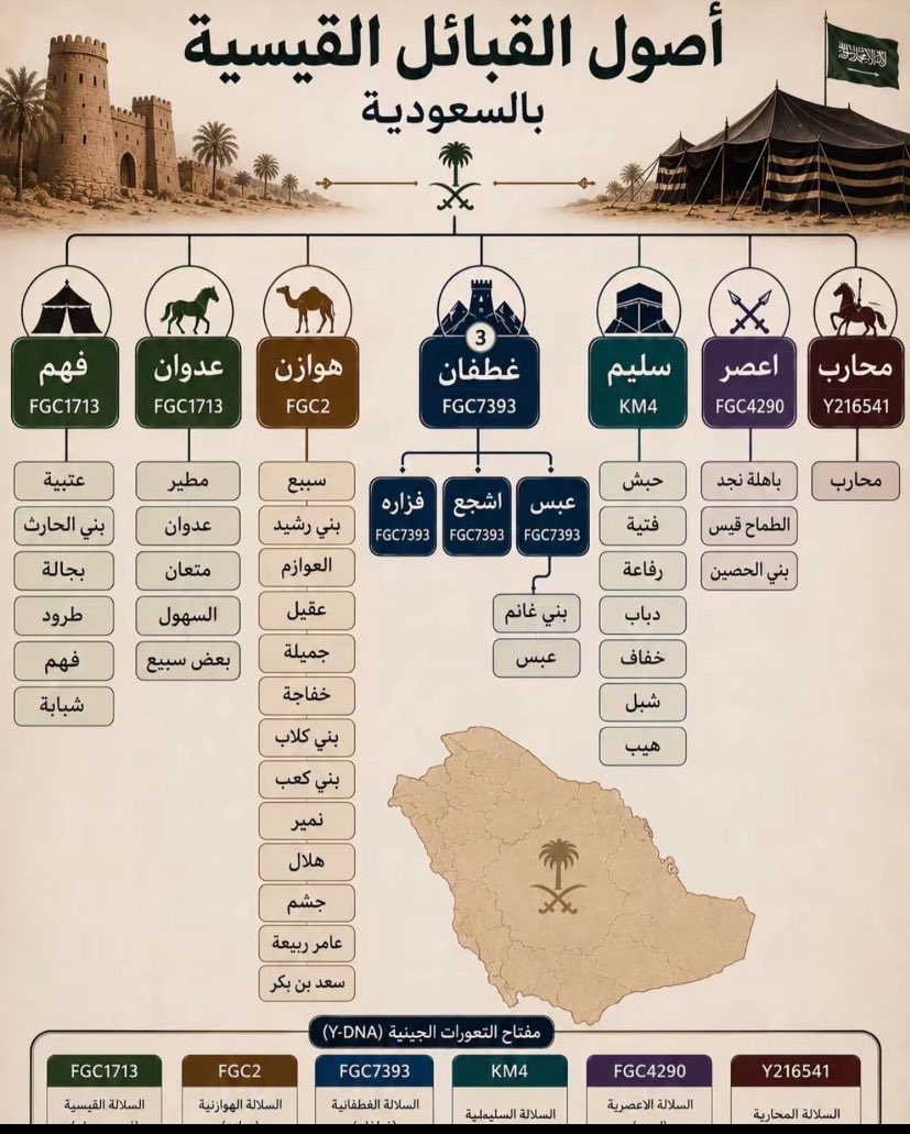 As9i51's tweet photo. مشروع بني هلال التغريبهFGC2
قبايل هوازنيه اسفلFGC2 يال قيسFGC5🧬⚔️ https://t.co/NSDUTLUyJM