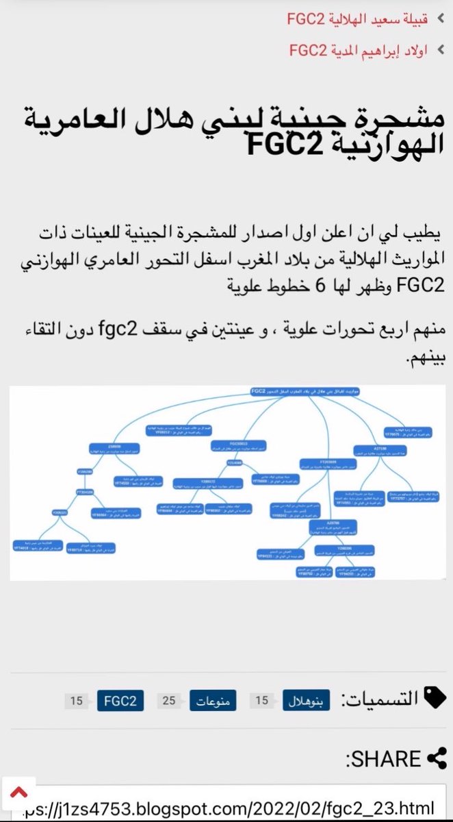 As9i51's tweet photo. مشروع بني هلال التغريبهFGC2
قبايل هوازنيه اسفلFGC2 يال قيسFGC5🧬⚔️ https://t.co/NSDUTLUyJM