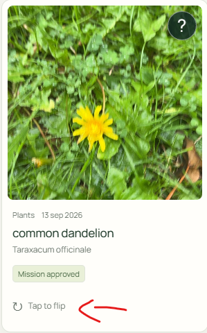 WildHuntRH's tweet photo. You can now select part of a photo and ask Wild Hunt to identify it. 📸

Open a discovery, draw a box around what caught your eye, and get a focused identification alongside the original result. https://t.co/wamfy5ggvO