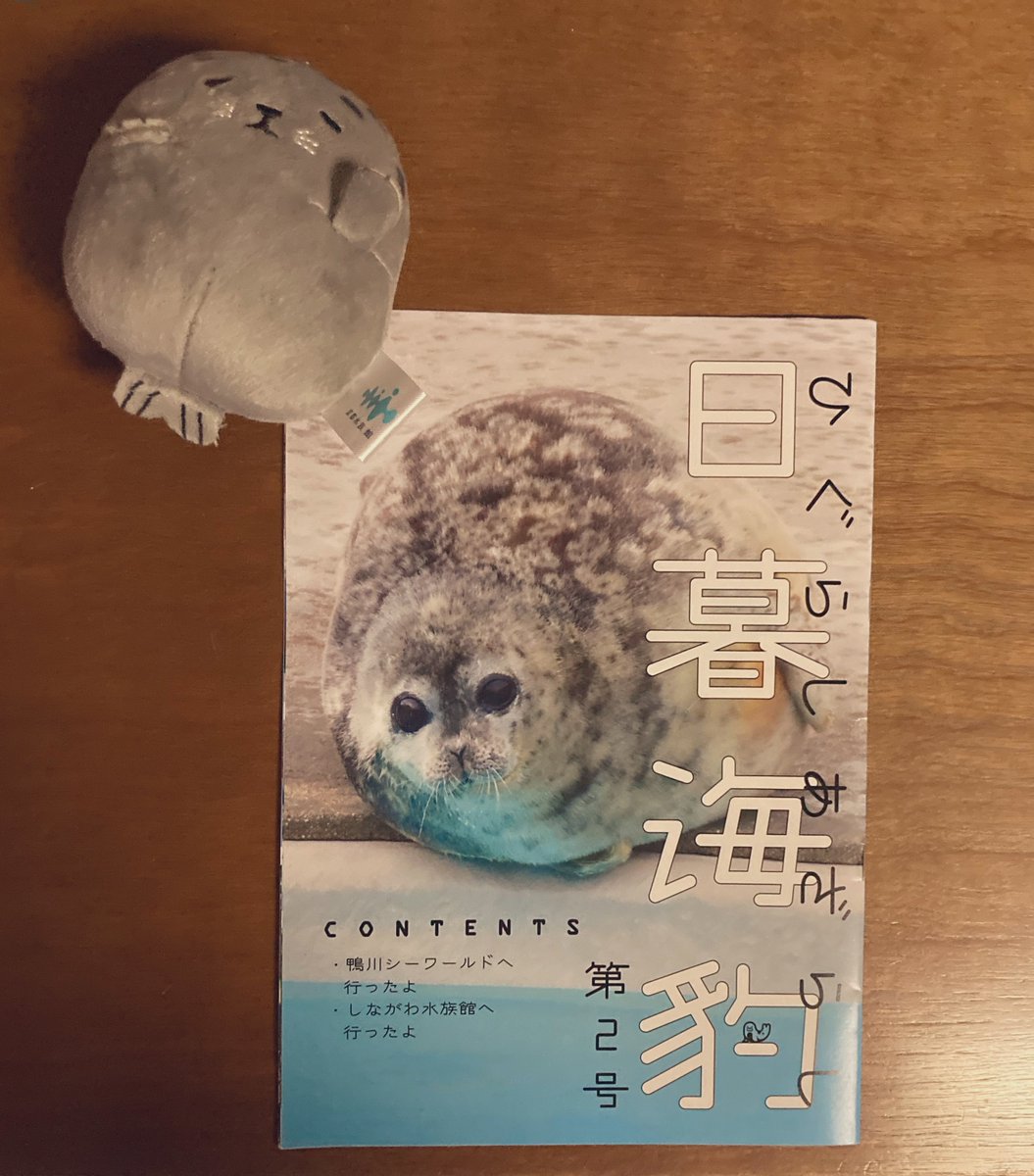 cko1ji's tweet photo. アザラシちゃんかわいかったです🦭💖rp https://t.co/RwTTPFu9aW