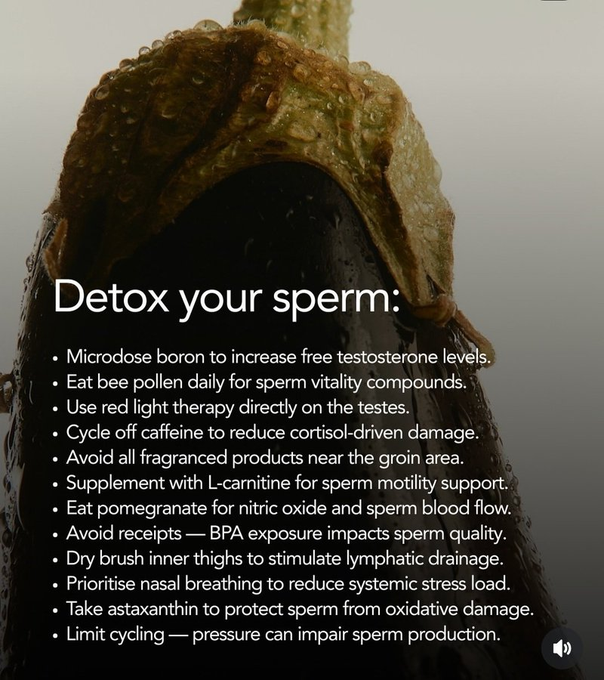 TheRareMan_'s tweet photo. FULL BODY DETOXIFICATION:   

5 steps to a full system purge (gut, mouth, ovaries and sperm health included)  

1. Detox your sperm https://t.co/xvePbUV1PH