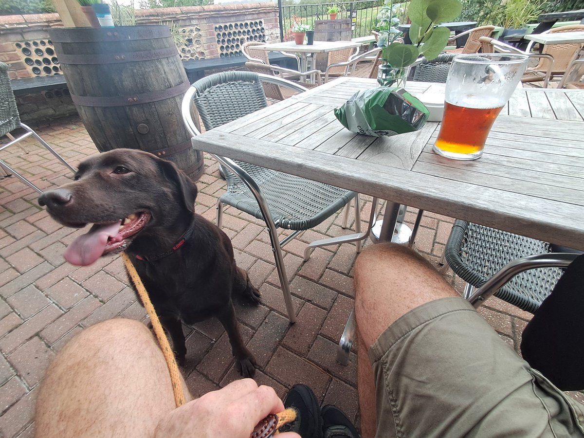Ted_Choc_Lab's tweet photo. Super sunday 
Long walk and shelter from the rain......the crisps are mine !! https://t.co/LPCc9TWbEA