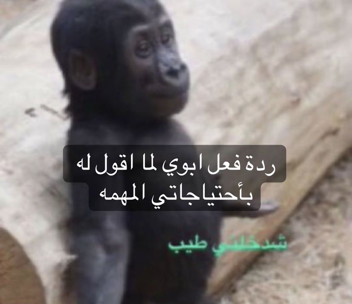 imeomec's tweet photo. @nowhere222go حصل https://t.co/Dt1SE3Wp6T
