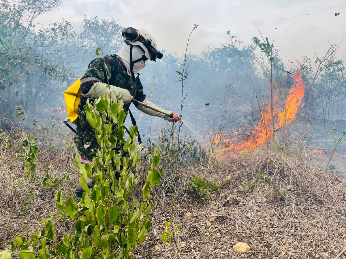 COL_EJERCITO's tweet photo. En Puerto Colombia, #Atlántico, soldados de la Brigada de @Ingenieros_EJC de Atención y Prevención de Desastres adelantan labores de manejo de desastres y extinción del incendio forestal, en coordinación con los organismos de respuesta.

Mediante labores de sofocación y reconocimiento con dron, apoyamos el control de la emergencia, que registra aproximadamente 20 hectáreas afectadas y tiene impacto sobre cerca de 600 personas.

#ProtegemosLaVida