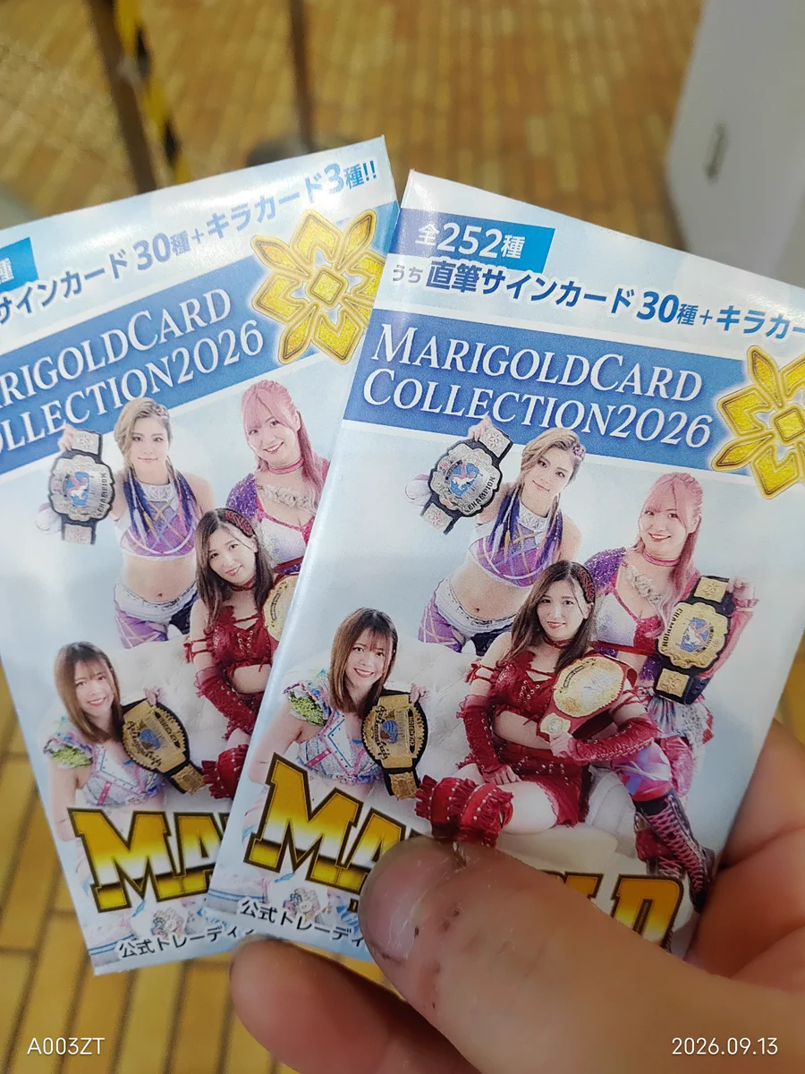 マリーゴールド プロレス Sシート特典　直筆サイン ポストカード10枚 バッグ Yuーdai🤭 on X: 