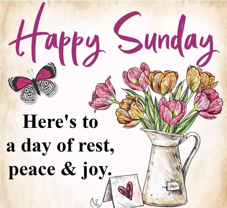Rileyhub11's tweet photo. Good morning, beautiful 😍☀️ New Sunday, new blessings, new reasons to smile. Keep your head up and let your light shine today ❤️

Good Sunday #AskFFT NFL Sunday GO BIRDS https://t.co/1G8L3qOZ20
