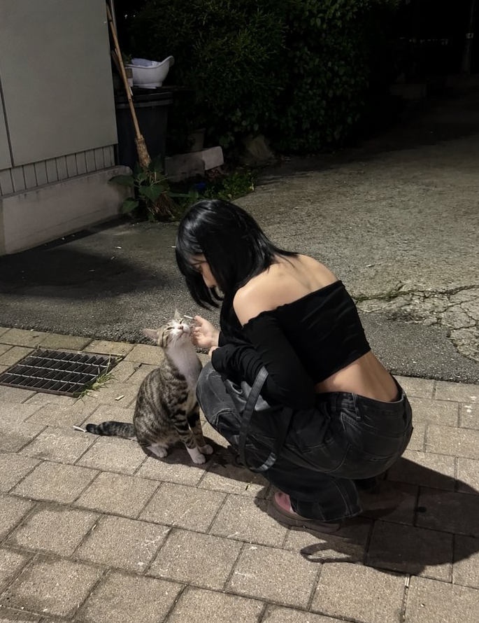 Diahann526401's tweet photo. 野良猫にも優しくてセーヨクも強いのに彼氏おらんのなんで？ https://t.co/pt9e6I36hK