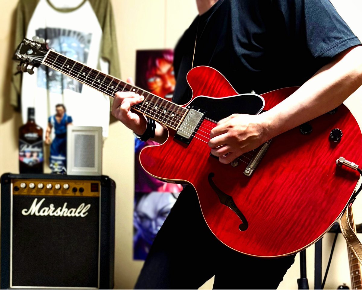 Matsui_Keisuke's tweet photo. ES-335
#gibsunday #gibson https://t.co/r94BSDmiRR