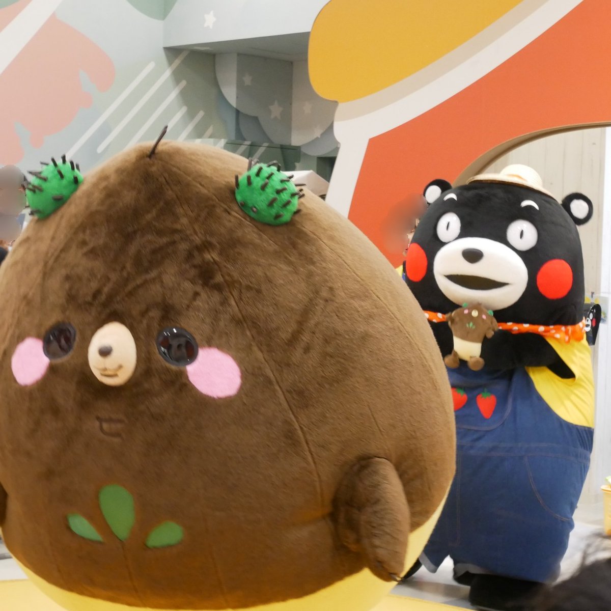yuncaasu's tweet photo. 今日の　#くまモン
ステーション👮
スクエア 秋の秋穫祭（からいもくん🍠くり平くん🌰)
ビレッジ 7周年㊗️ https://t.co/lG7TY8oUHH