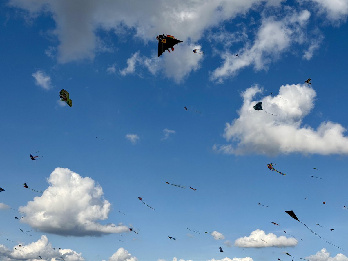 Elizabe5B_D's tweet photo. This was my first time seeing the Berlin Kite Festival😊 https://t.co/9GX5aEf1ZJ