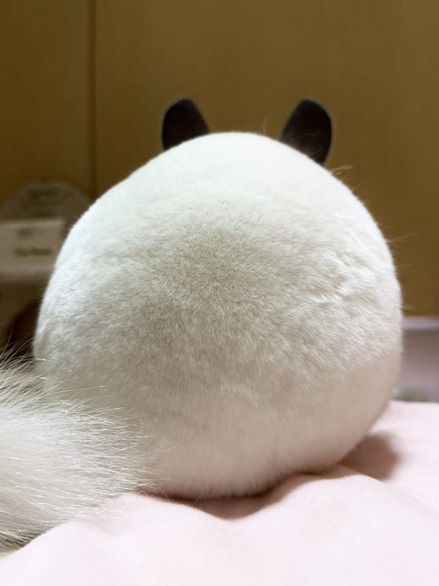 punsuko_2's tweet photo. この密度 https://t.co/K0LyyMeQtm