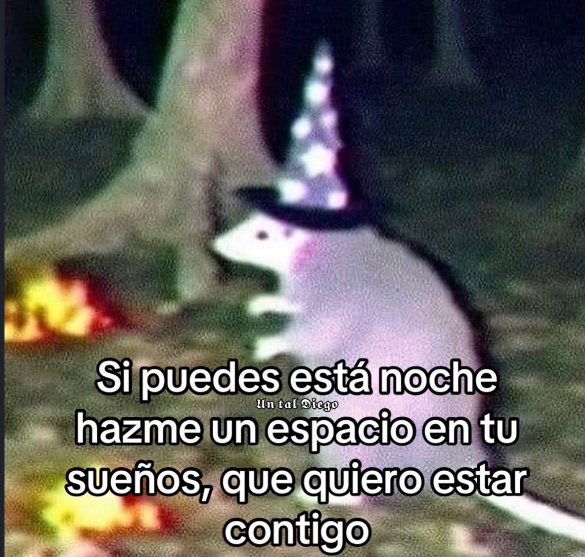 skereunpesado's tweet photo. https://t.co/d3g1PxQsum