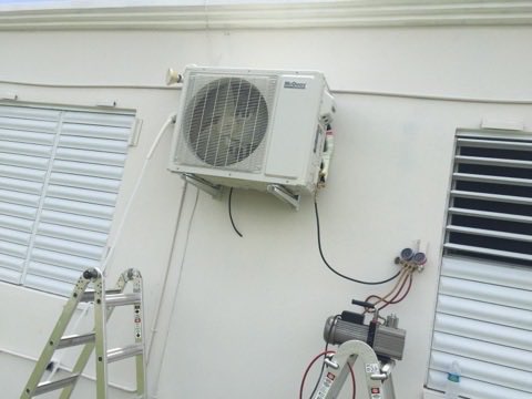 starrefrigerati tweet picture