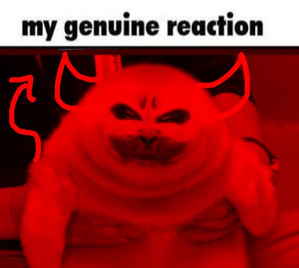 selkiegyuu's tweet photo. My EVIL reaction 👹🦭‼️ https://t.co/va9bXvZb1i