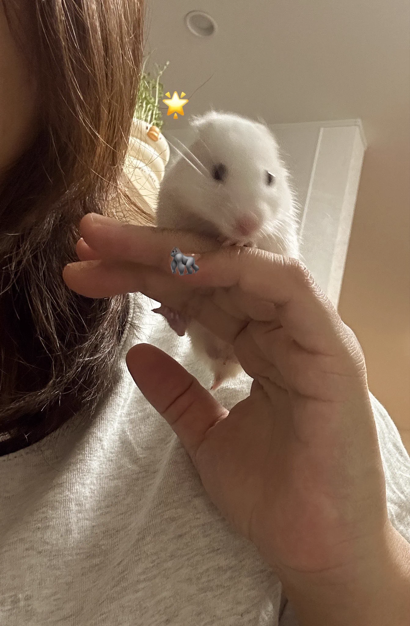 yuppi️໒꒱ on X: 