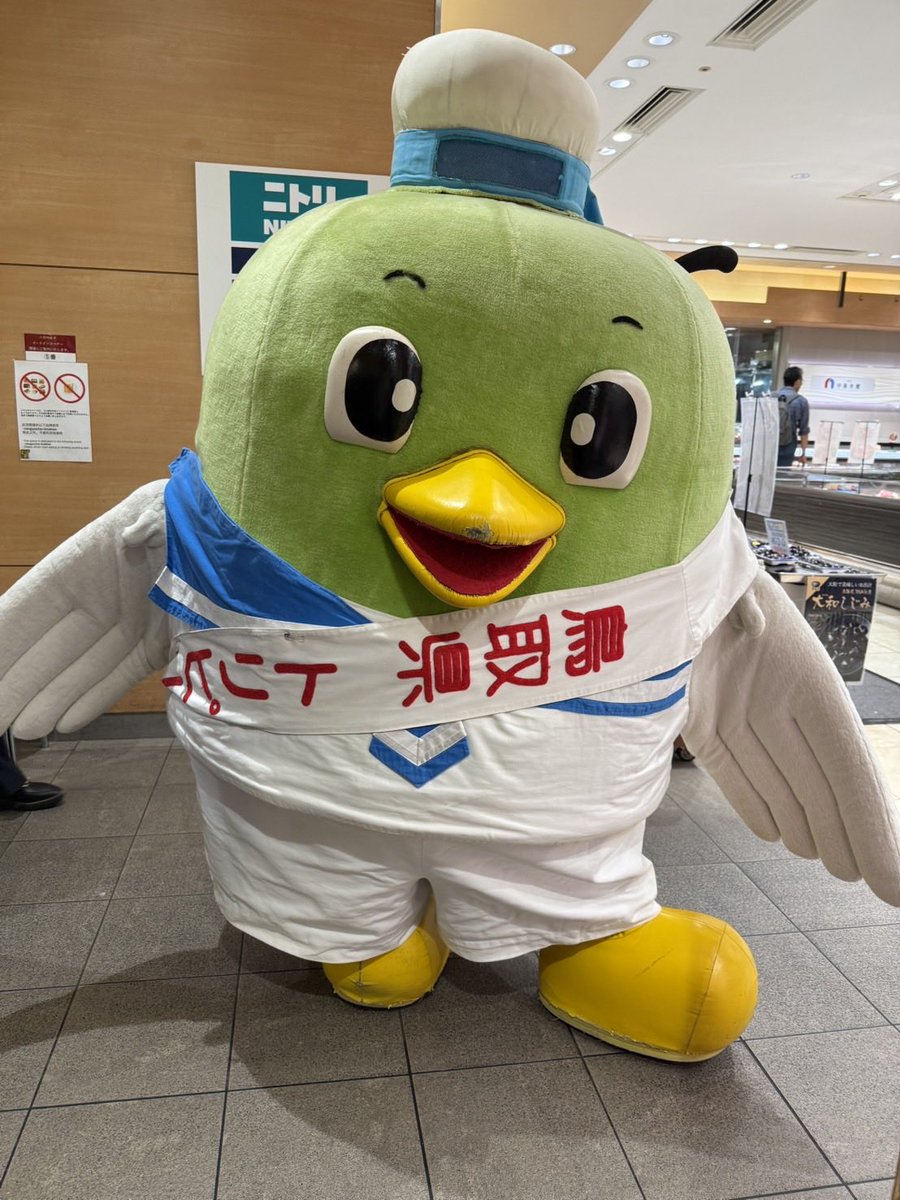 hime4693's tweet photo. 今日は職場に鳥取から素敵なお友だちが来てくれました😊可愛いトリピー😊 https://t.co/qrwf2HmmvK