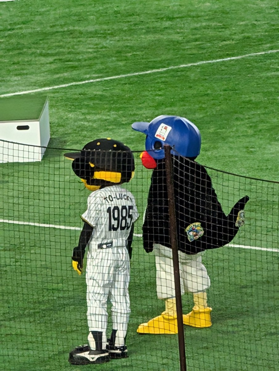 yukaling1985's tweet photo. @phoenixfiress12 There is a mascot meet-and-greet next to Koshien Stadium, and I took a picture with TO-LUCKY. When Tsubakuro came, he was so popular that people lined up for the stage at 5 AM. I live in tokyo, so I can't go very often.↓28July,allstar@Tokyodome https://t.co/cr5W3rUA63