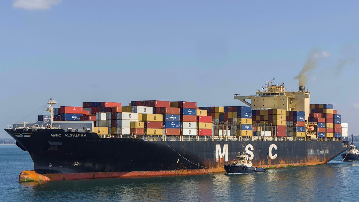 WayneAWeekes's tweet photo. Vessel: MSC Altamira.
Type: Container Ship.
Class: --
Owner: LS-LBR 9.
Operator: Mediterranean Shipping Company.
Constructed: 2012.
IMO: 9619426.
MMSI: 636015664.
LOA: 299m.
Flag: Liberia.

Date Photo Taken: 12/9/26.
Location Photo Taken: Molineaux Point, Port Botany, Sydney, Australia.

Shot on: Canon EOS R7 | RF 18-150 f/3.5-6.3 IS USM.
#Sydney #ContainerShip @MSCCargo