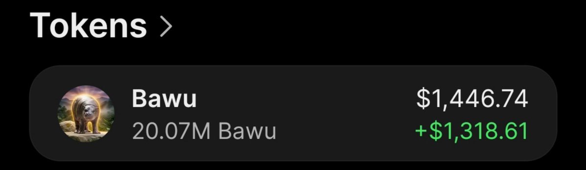 MoonSniper__'s tweet photo. $Bawu Is maxing good on my alpha tg
Congrats Team alpha 👏
⛓️ #Solana #memecoin #CryptoTrading https://t.co/oveKBVfEJN