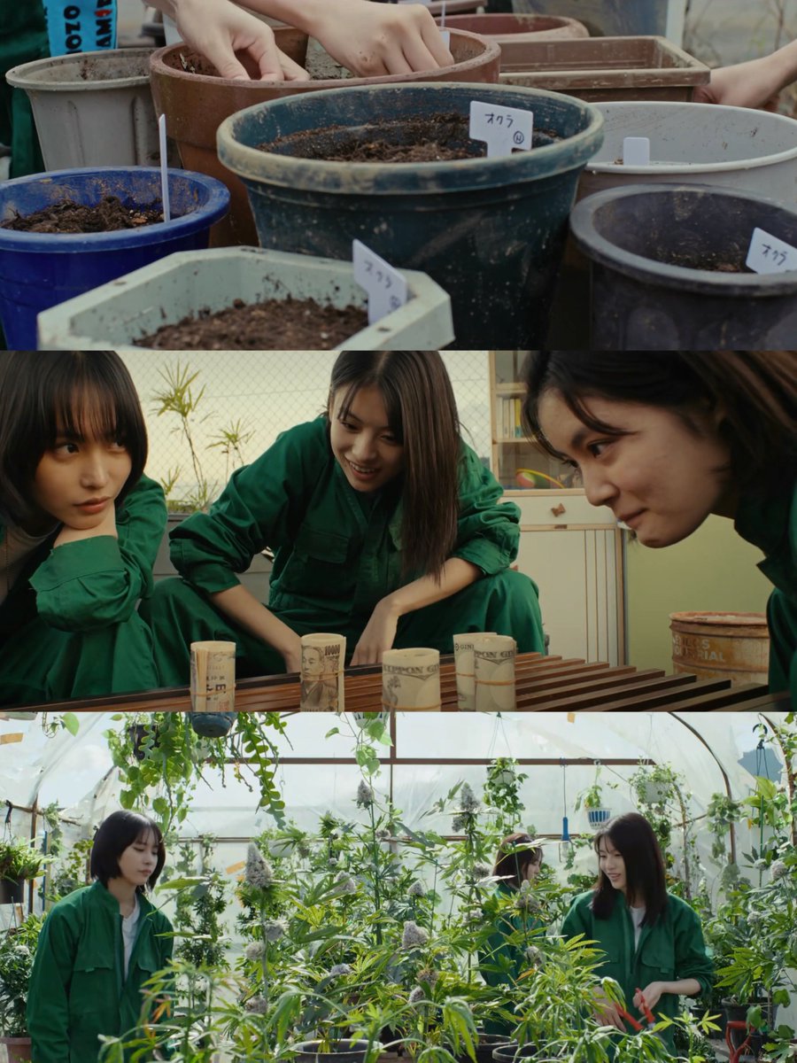 enclosedpain's tweet photo. ⠀
⠀ ⠀“i won’t abandon you.
⠀   ⠀i would never do that.”

all greens (2025)
万事快調〈オール・グリーンズ〉
dir. takashi koyama https://t.co/VvkZlZaEWc
