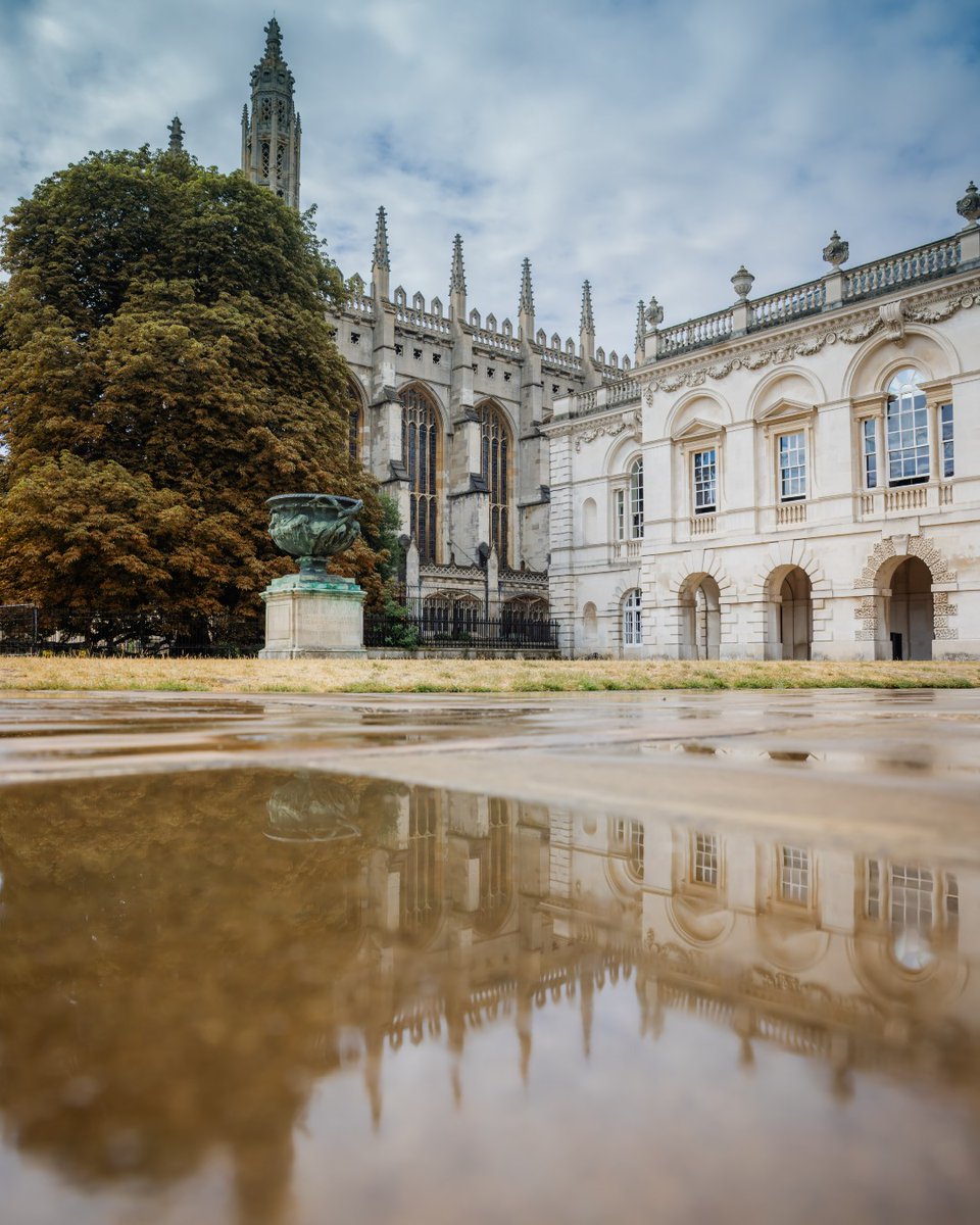 A historic building at King's College, Cambridge, featuring ornate architecture with spires and arches. A large tree stands beside the building, and a reflection is visible in the water on the pavement in the foreground.