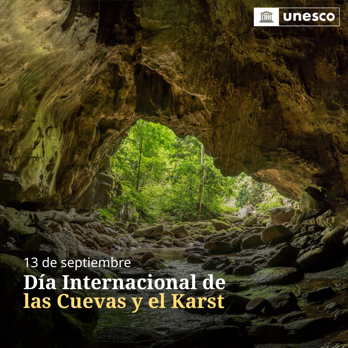 UNESCO_es's tweet photo. ¿Sabías que las cuevas y los paisajes kársticos proporcionan agua potable a más de mil millones de personas en todo el mundo? 💧

Con motivo del primer Día Internacional de las Cuevas y el Karst, queremos destacar estos entornos fundamentales para la biodiversidad, el agua dulce y el patrimonio de nuestro planeta.

https://t.co/SKnYuJUGPk