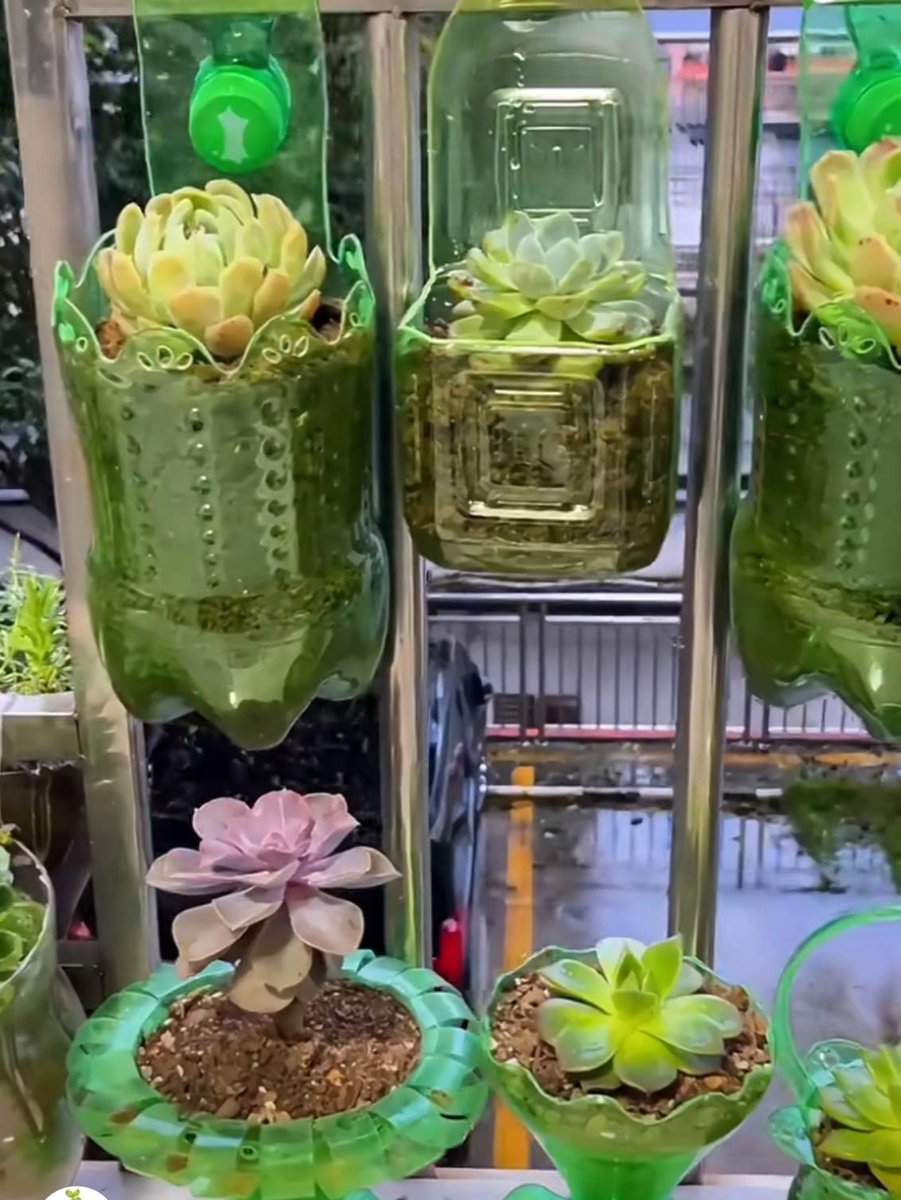 GerdaLevendao's tweet photo. Just upcycled an old glass jar into a cute succulent planter in 10 mins—no fancy tools needed! Perfect tiny home for my little green buddy.  #DIYCraft https://t.co/DN9iNHXhIb