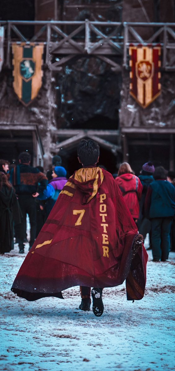 HarryPotterBrr's tweet photo. Faltam 103 dias para a estreia da série Harry Potter na HBO! https://t.co/zl7r0oOeL9