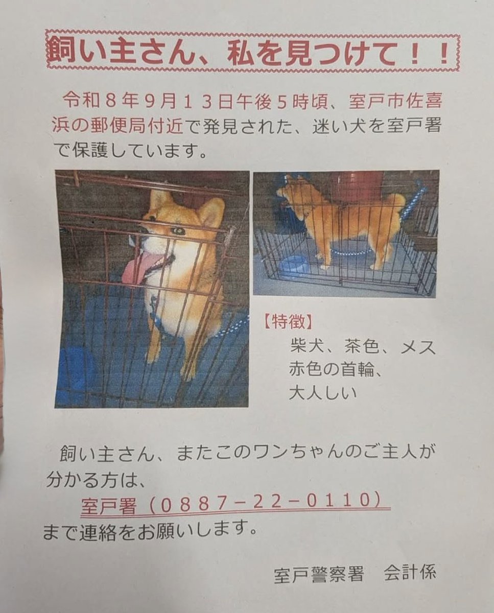 rh1cnaj's tweet photo. #迷い犬 #拡散希望  #迷子犬 #高知県 #室戸市 #佐喜浜 #室戸警察署 #室戸署 https://t.co/TxgWaxsdbq