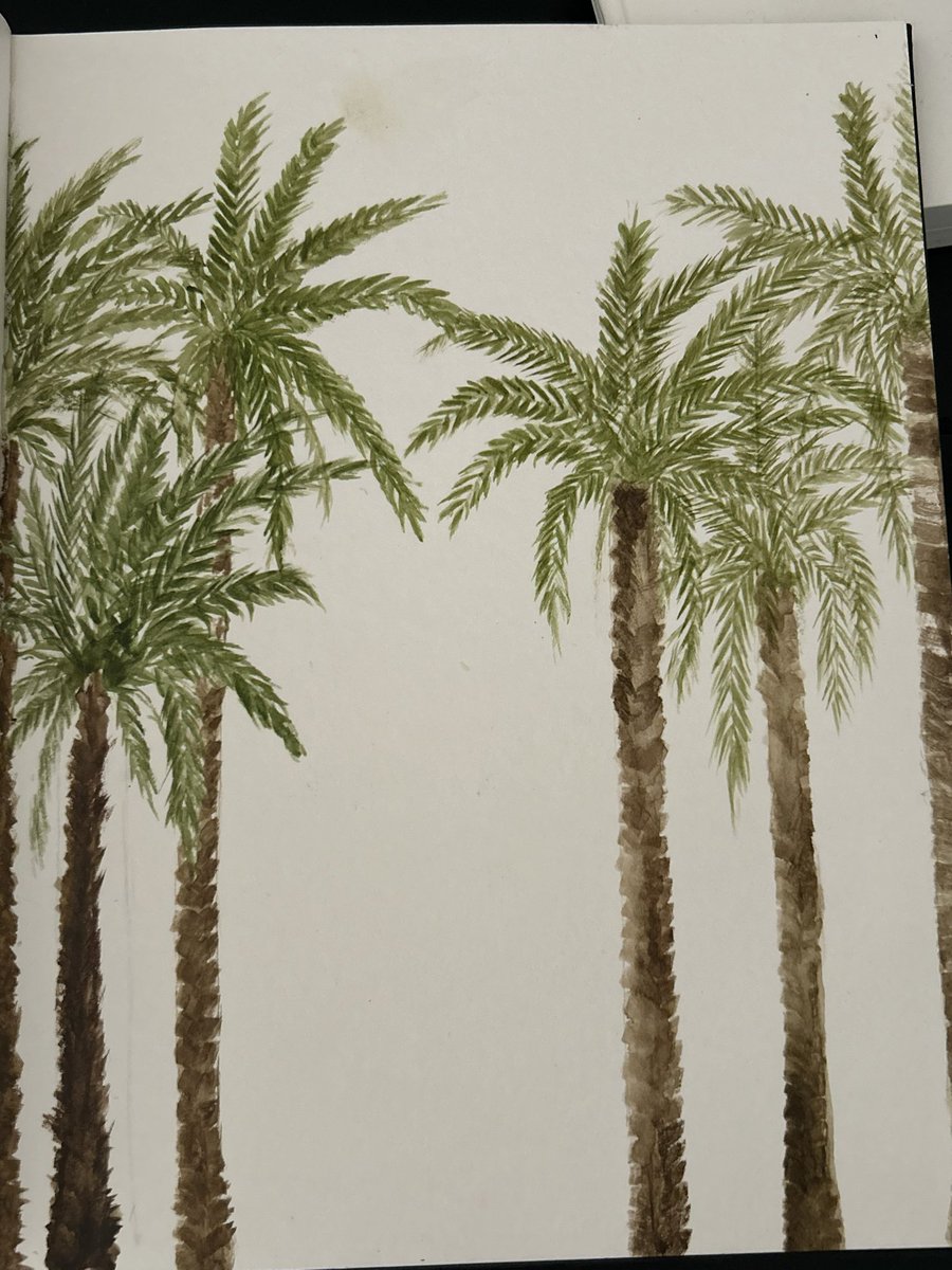 Janap9wc's tweet photo. 🌴🌴🌴

المفروض رسمه اوقست… https://t.co/kTYDR23lyt