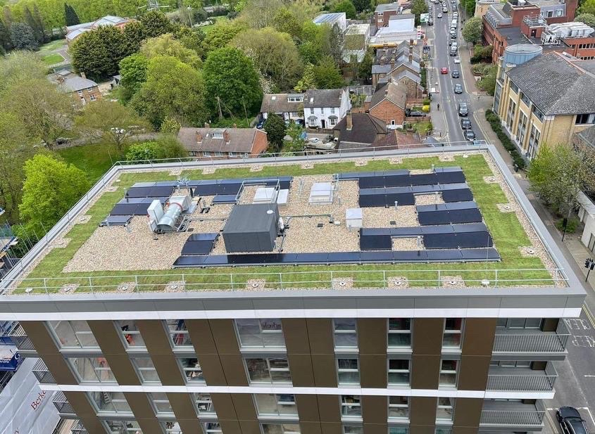 BrickworkOnline's tweet photo. Rooftops on office buildings now do way more than just keep rain out - once seen as basic covers, they now help builders meet tough green rules...
https://t.co/eB7g2ZVgBT
#TheGreenRoofer #Roofs #GreenRoofs #Building #Construction #Architects #Contractors #SuDS #LivingRoofs #BNG https://t.co/TvoxbUxeri