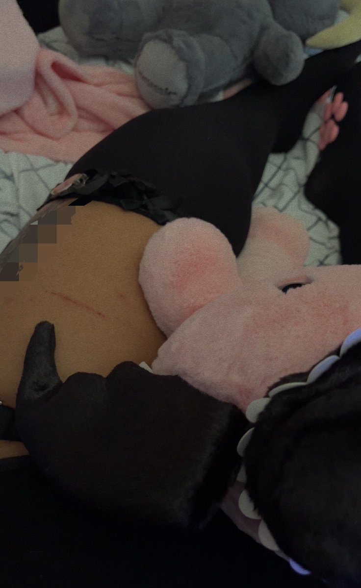 puppyazul's tweet photo. Arf :3 #nsfwtwt #comgirl #esex #cnc #somno #daddykink #egirl #puppygirl #cheatingkink #cuck #findumb #finsub #femdom #poly #goonette #head #findommebrat https://t.co/FGZVGFydva