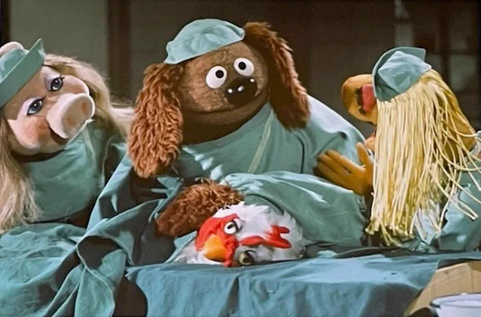 lady gaga stuffed animal dress Genius on X: 