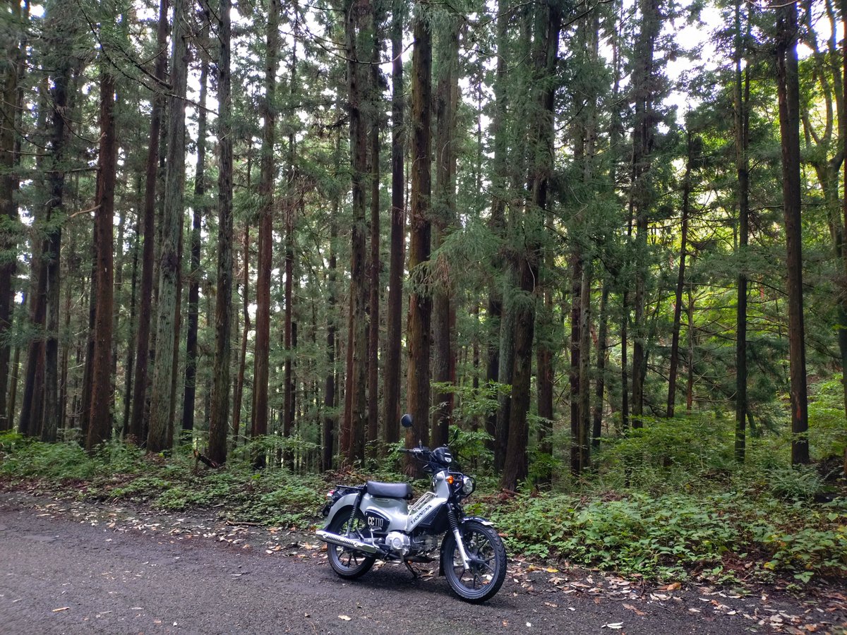 akivfr's tweet photo. 曇り空の下、ちょっと走って来た🏍️
涼しかった。

維持管理走行です。

#CROSSCUB110 https://t.co/KP2Zfzefqk