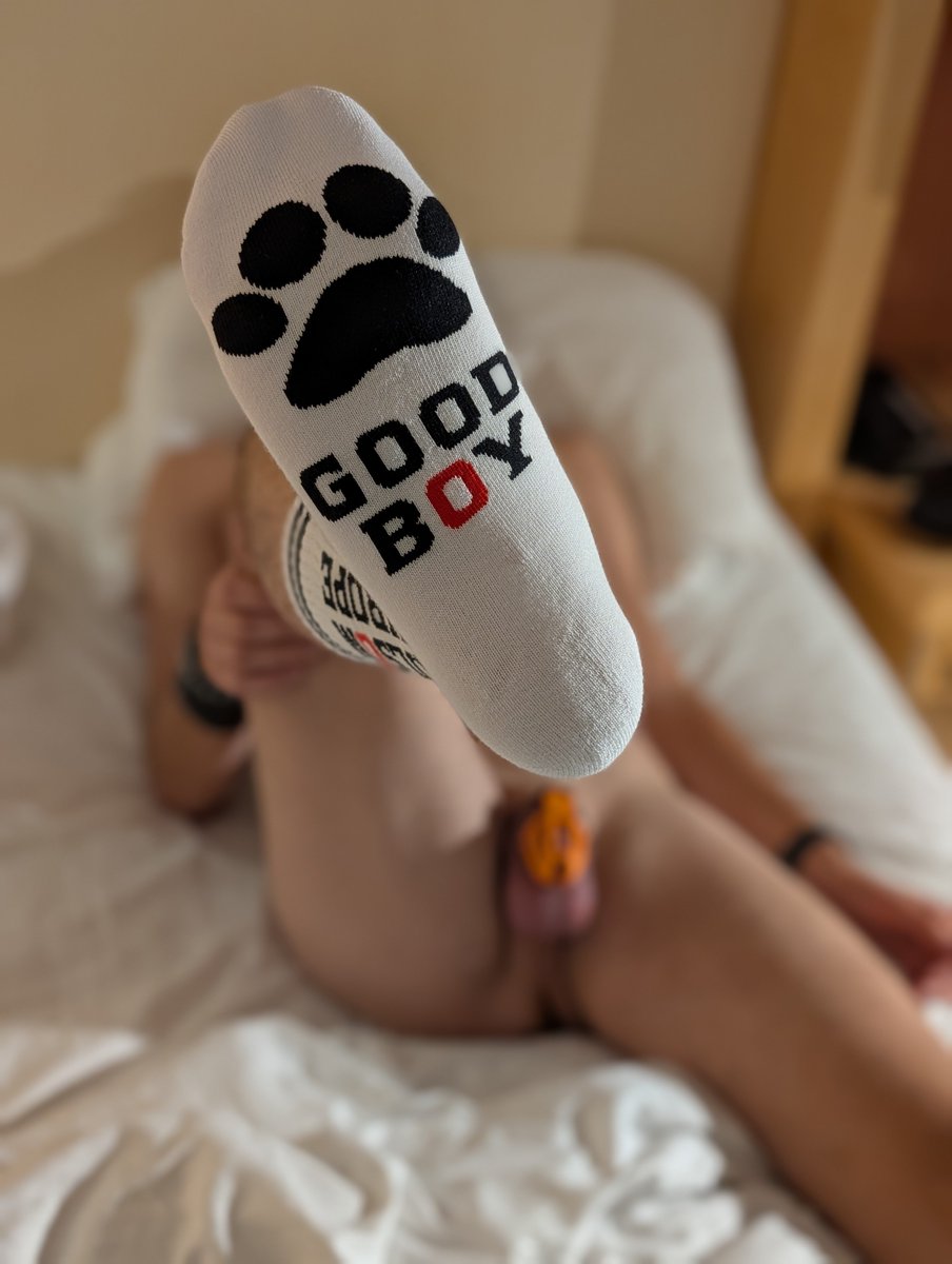 lockedtopgent's tweet photo. Went to Folsom Berlin and found a good boy in my hotel room 😊.  #lockedbois #havemorefun https://t.co/7BHywD4JPk