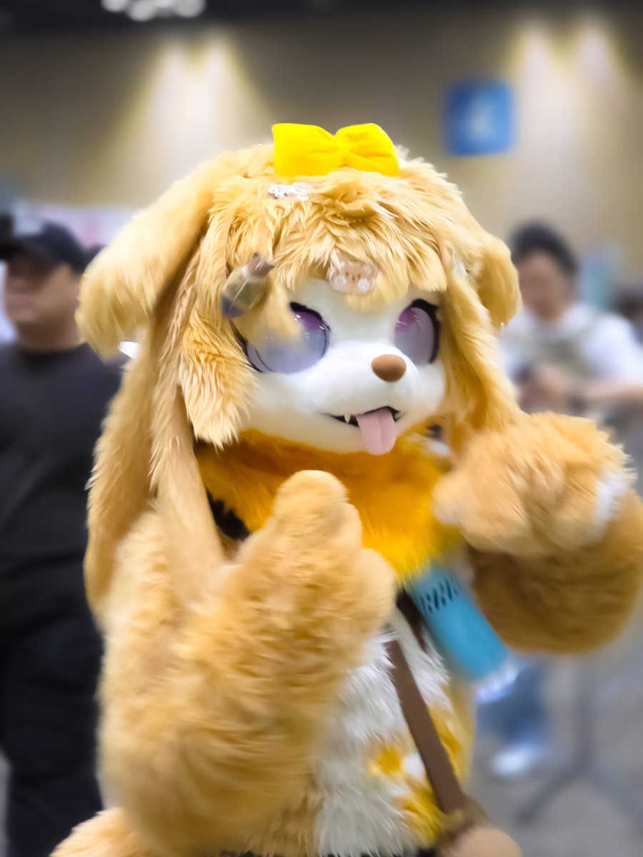 _RAM_HWN_510's tweet photo. 9/12 킨텍스
짱짱귀여운복실복실버터보고가세요

🐶퍼슈터님🧈: @Cleandklear 
#서코 #코믹월드 #9코 #퍼슈트 #퍼리 https://t.co/vnJLfIA3vp