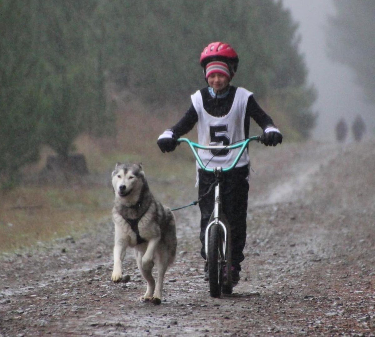 RalphMedinja's tweet photo. Weekend racing with my main girl Winta and Rylee on Kaiza in pee wee. Both placed 3rd in tough classes. Great weekend away. https://t.co/K23iwDmRgF