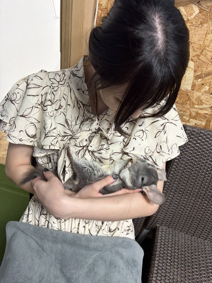 Uchi_chan2525's tweet photo. チンチラ畜生とも触れ合ってきた。可愛すぎるだろ🤦🏻‍♀️💞 https://t.co/FWDJ6cCbHR