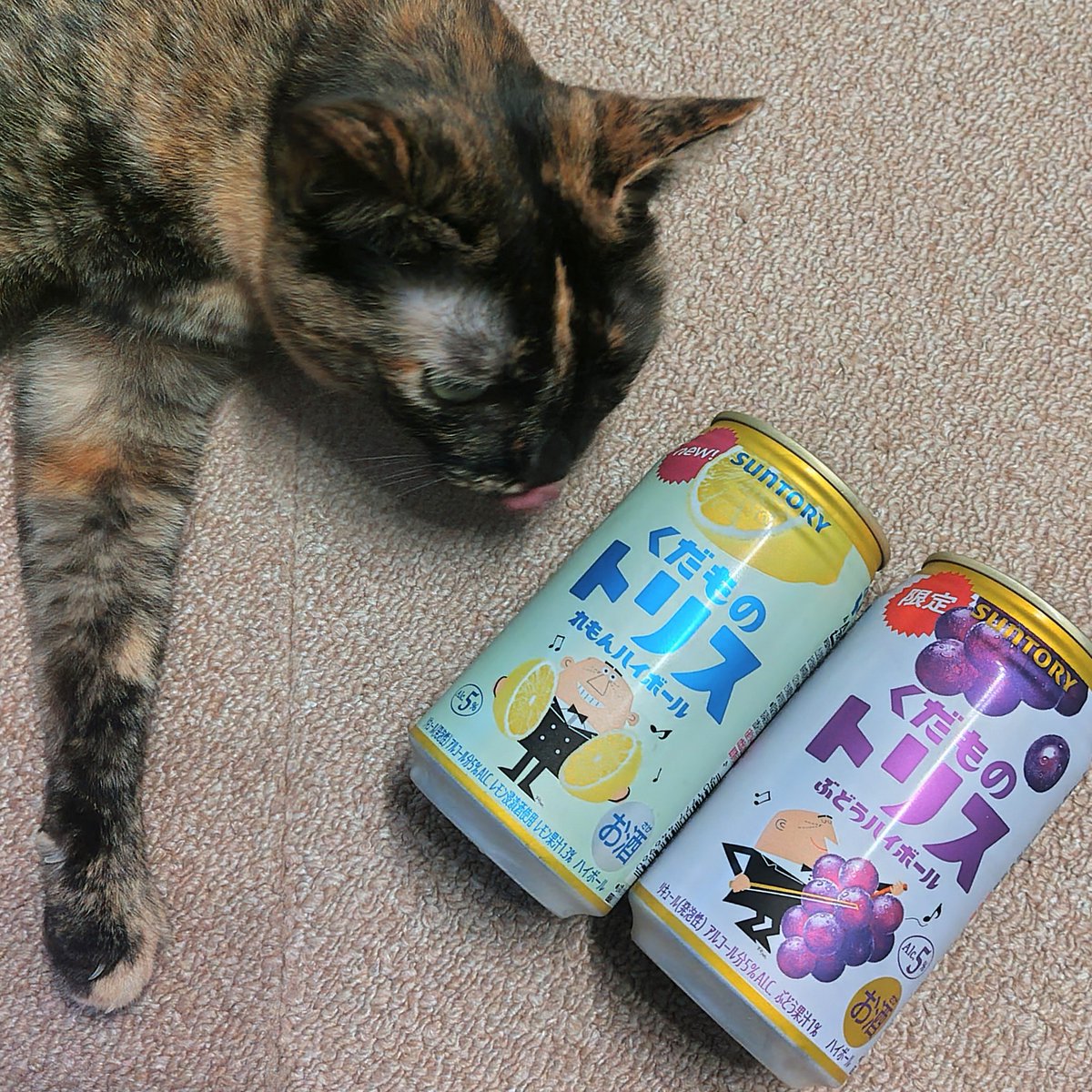 macaroni0825's tweet photo. トリスこむ之助 https://t.co/zssrgDJtew