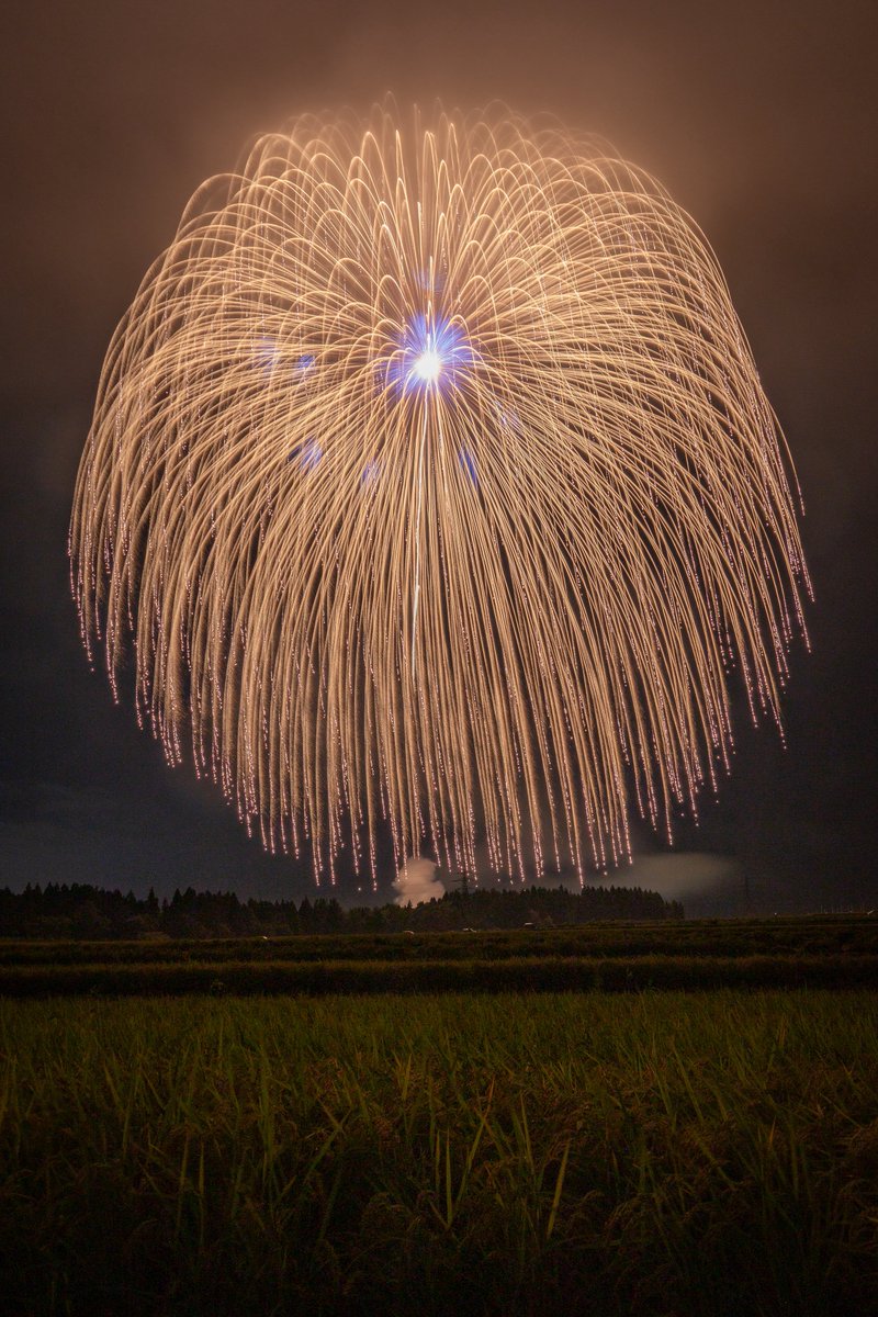 _IKE4_'s tweet photo. 2026/9/11 新潟県小千谷市🎆
浅原神社秋季例大祭奉納大煙火 https://t.co/cGnl3uYFpN