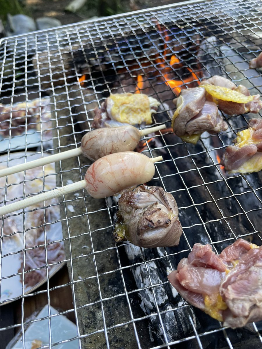 ltd_tocoto's tweet photo. 今日は千早赤阪村で育てていた「にわとりのオス」の解体でした　
食育、命をいただきました、
ありがとう🐓
私はオスの玉を初めてたべました
#にわとり #にわとり解体　#千早赤阪村 https://t.co/TlxZi6Viwr