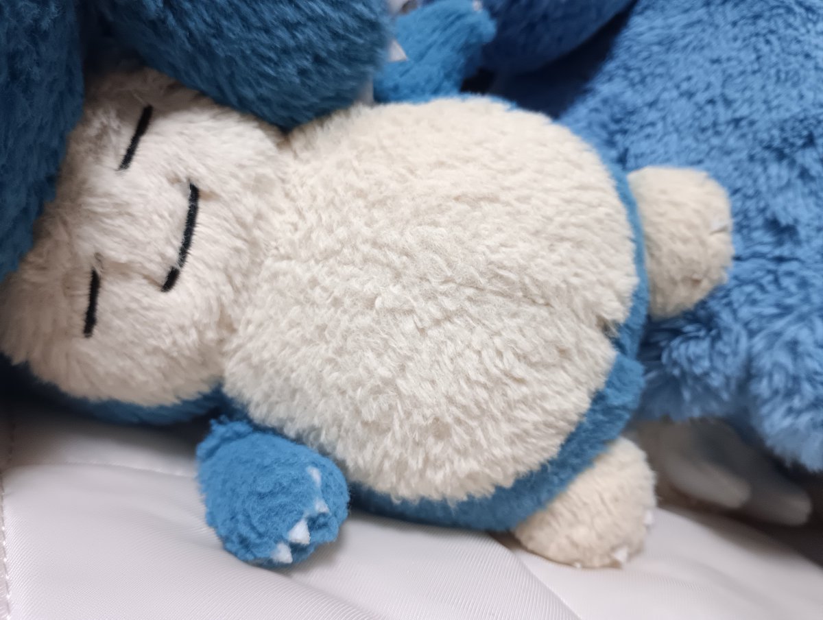 tomotanuinui's tweet photo. https://t.co/XnbvlEu2XM