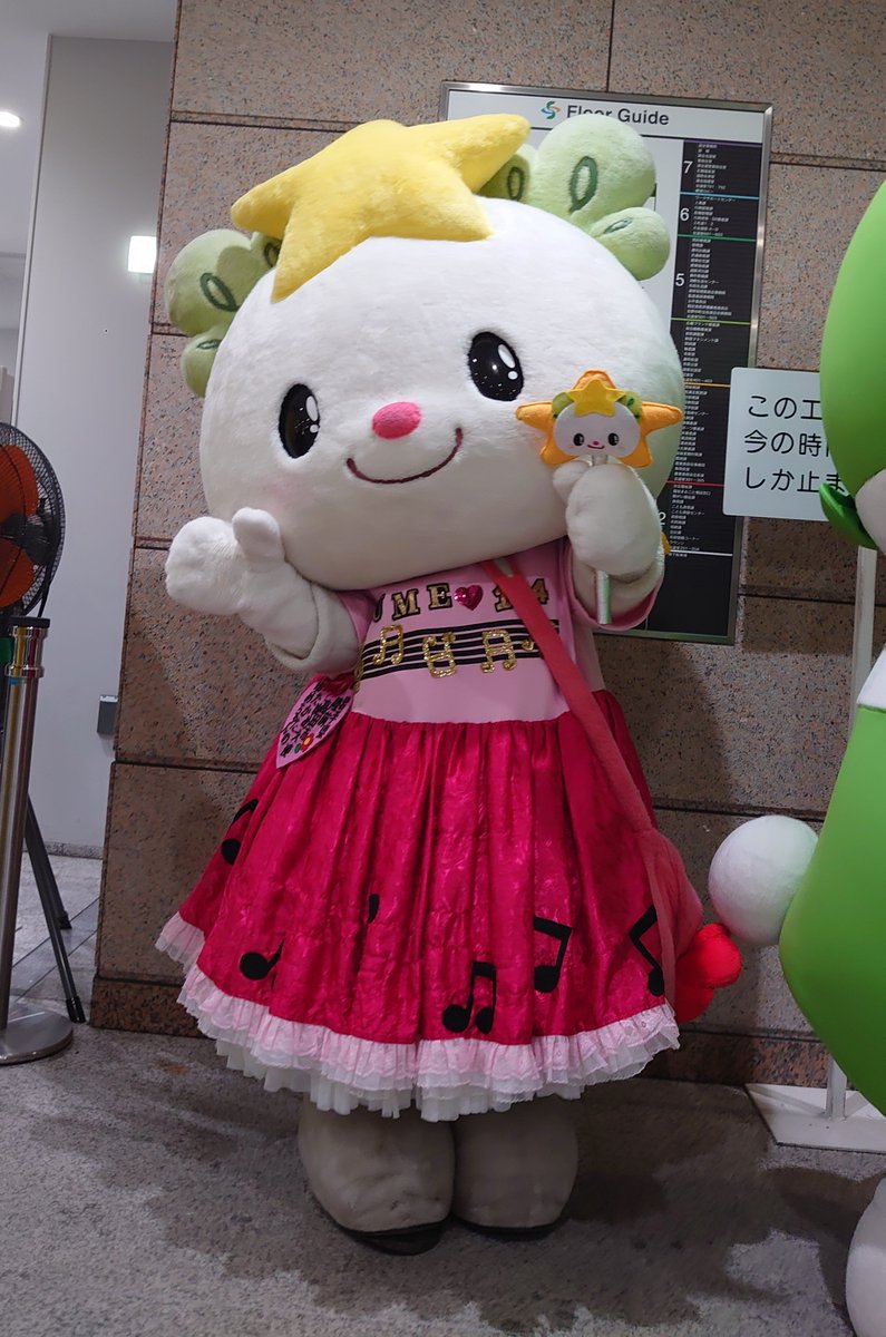 minyon_02 tweet picture
