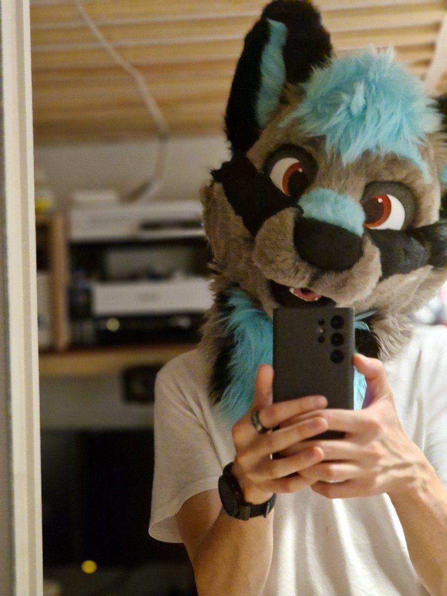 AtlasWolfyy's tweet photo. When your bf is away so you take his fursuit head @KatyroFox https://t.co/VfFWqwUF7b