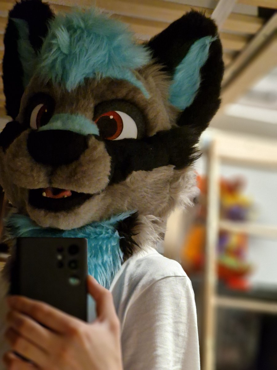 AtlasWolfyy's tweet photo. When your bf is away so you take his fursuit head @KatyroFox https://t.co/VfFWqwUF7b